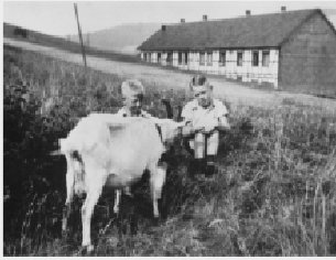  Ziegenweiden der Ramsbecker Bergleute