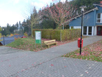 Mywebsite111003