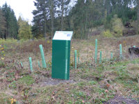 Mywebsite111004